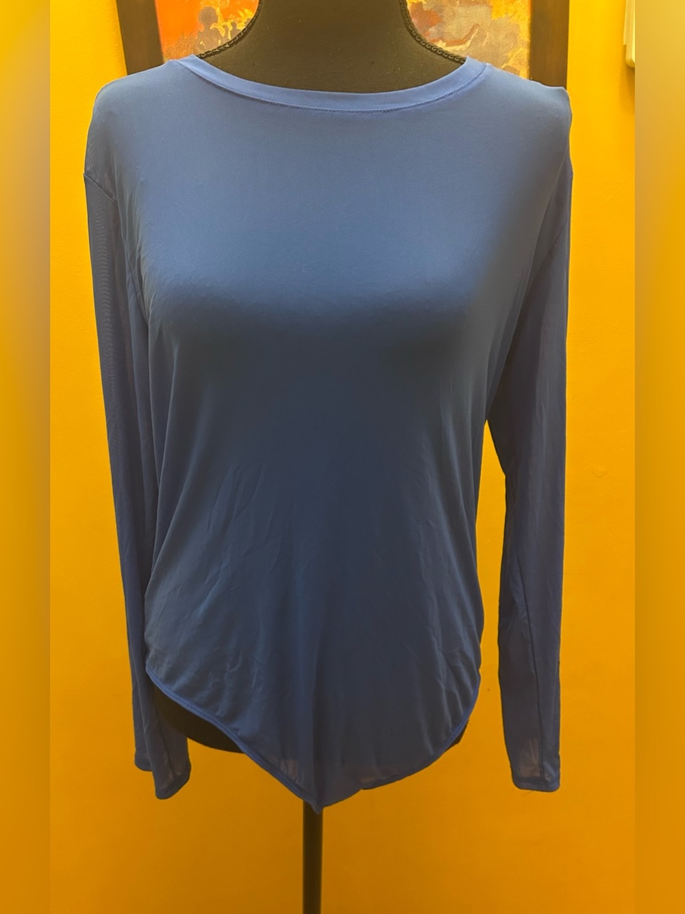 Women’s Express Sheer Blue Fitted Bodysuit XL
